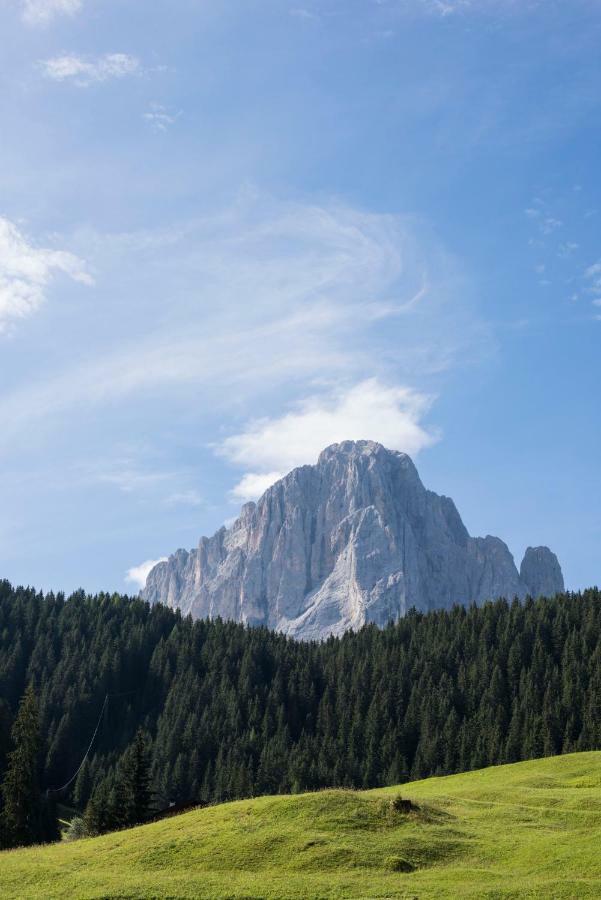 Villa Insam Selva di Val Gardena Exterior foto